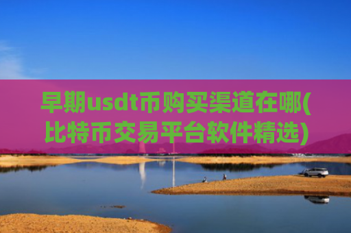 早期usdt币购买渠道在哪(比特币交易平台软件精选)