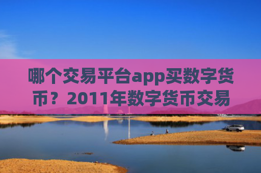 哪个交易平台app买数字货币？2011年数字货币交易app