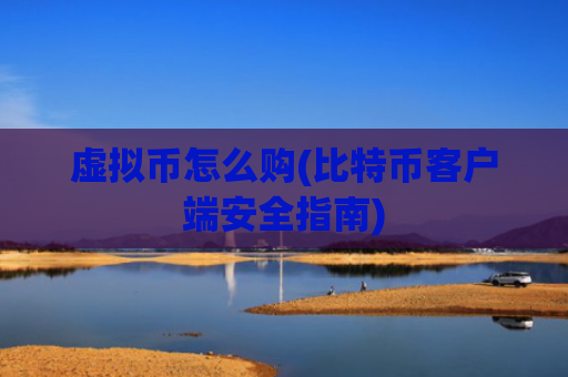 虚拟币怎么购(比特币客户端安全指南)