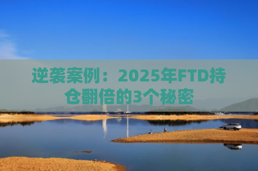 逆袭案例：2025年FTD持仓翻倍的3个秘密