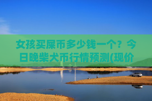 女孩买屎币多少钱一个?今日晚柴犬币行情预测(现价0.00022116元)
