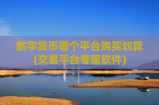 数字货币哪个平台购买划算(交易平台专属软件)