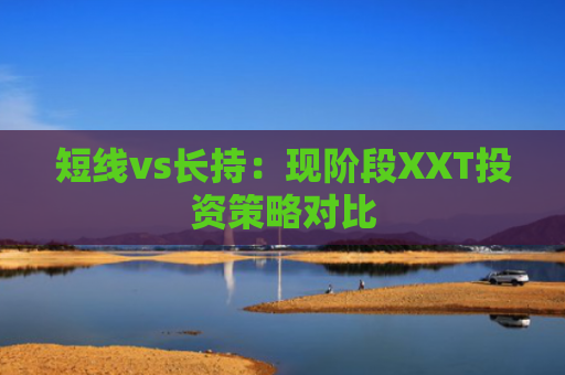 短线vs长持:现阶段XXT投资策略对比