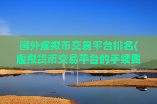 国外虚拟币交易平台排名(虚拟货币交易平台的手续费比较)
