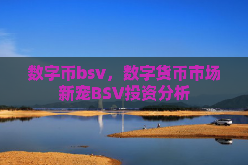 数字币bsv，数字货币市场新宠BSV投资分析