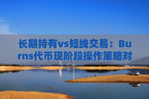 长期持有vs短线交易：Burns代币现阶段操作策略对比