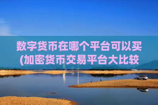 数字货币在哪个平台可以买(加密货币交易平台大比较)