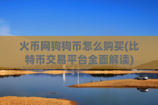 火币网狗狗币怎么购买(比特币交易平台全面解读)