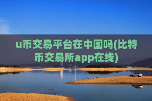 u币交易平台在中国吗(比特币交易所app在线)