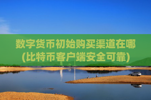 数字货币初始购买渠道在哪(比特币客户端安全可靠)
