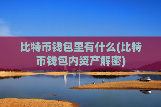 比特币钱包里有什么(比特币钱包内资产解密)