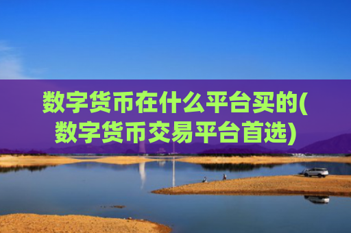 数字货币在什么平台买的(数字货币交易平台首选)
