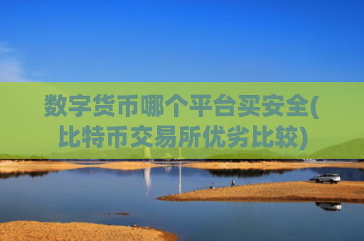 数字货币哪个平台买安全(比特币交易所优劣比较)