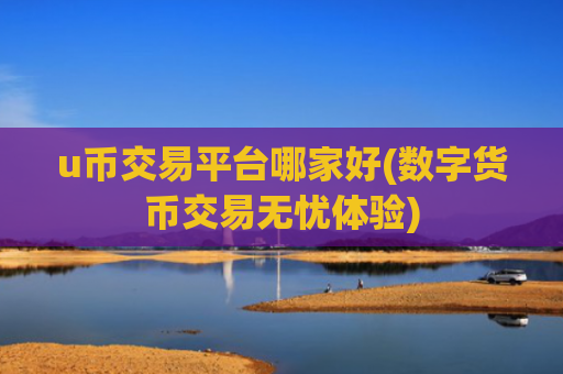 u币交易平台哪家好(数字货币交易无忧体验)