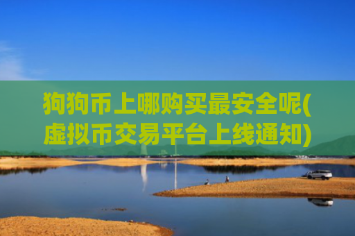狗狗币上哪购买最安全呢(虚拟币交易平台上线通知)
