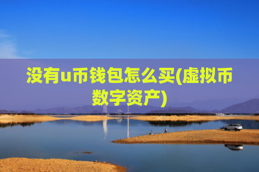 没有u币钱包怎么买(虚拟币数字资产)