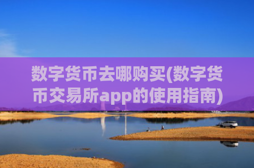 数字货币去哪购买(数字货币交易所app的使用指南)
