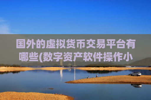 国外的虚拟货币交易平台有哪些(数字资产软件操作小窍门)