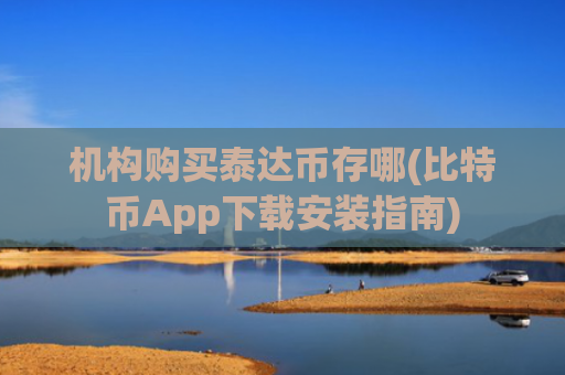 机构购买泰达币存哪(比特币App下载安装指南)
