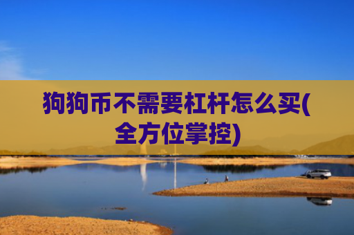 狗狗币不需要杠杆怎么买(全方位掌控)