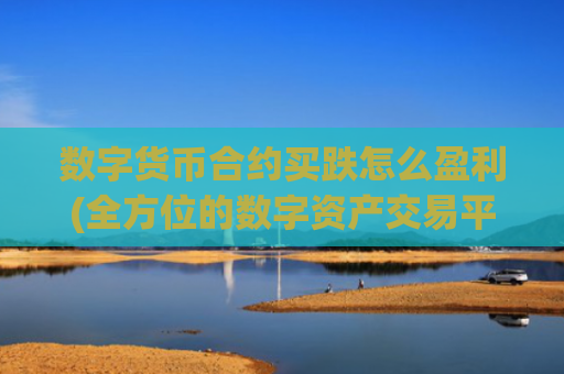 数字货币合约买跌怎么盈利(全方位的数字资产交易平台)