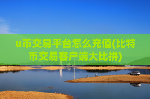 u币交易平台怎么充值(比特币交易客户端大比拼)
