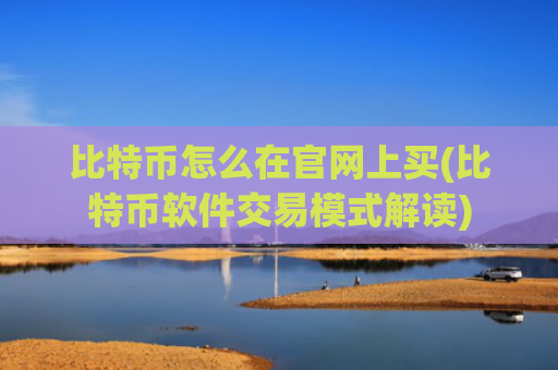 比特币怎么在官网上买(比特币软件交易模式解读)
