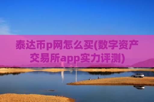 泰达币p网怎么买(数字资产交易所app实力评测)