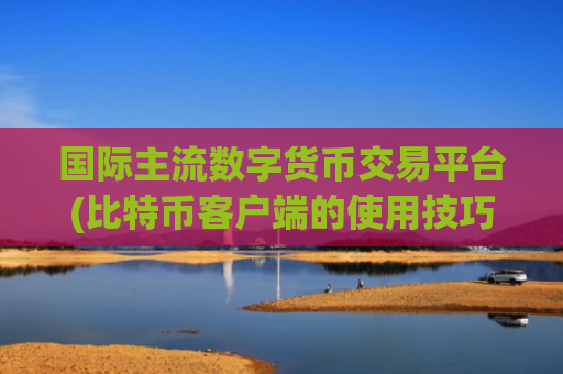 国际主流数字货币交易平台(比特币客户端的使用技巧)