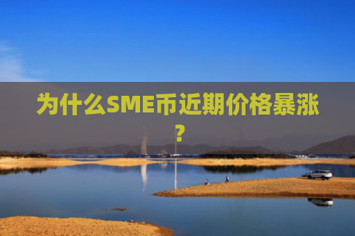 为什么SME币近期价格暴涨？