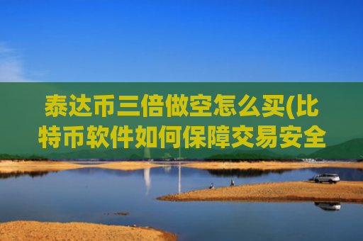 泰达币三倍做空怎么买(比特币软件如何保障交易安全)