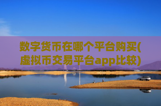 数字货币在哪个平台购买(虚拟币交易平台app比较)