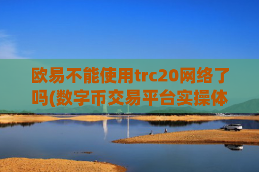 欧易不能使用trc20网络了吗(数字币交易平台实操体验)