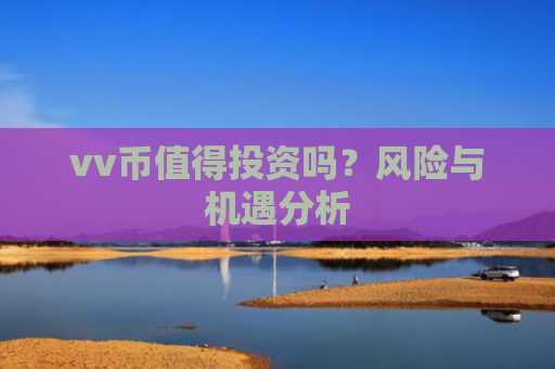 vv币值得投资吗？风险与机遇分析