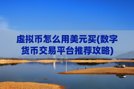 虚拟币怎么用美元买(数字货币交易平台推荐攻略)