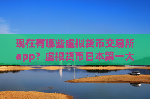 现在有哪些虚拟货币交易所app？虚拟货币日本第一大交易所