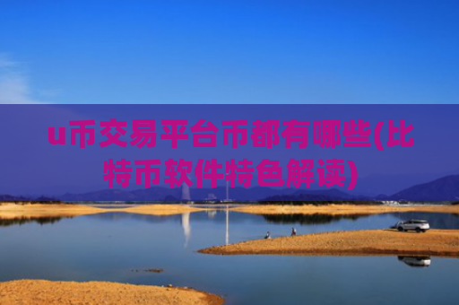 u币交易平台币都有哪些(比特币软件特色解读)