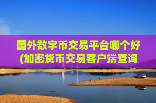 国外数字币交易平台哪个好(加密货币交易客户端查询)