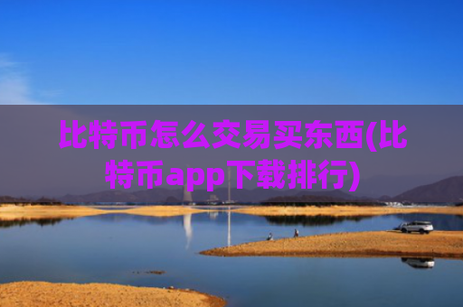 比特币怎么交易买东西(比特币app下载排行)