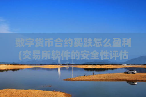 数字货币合约买跌怎么盈利(交易所软件的安全性评估)