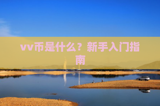 vv币是什么?新手入门指南