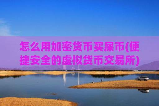 怎么用加密货币买屎币(便捷安全的虚拟货币交易所)