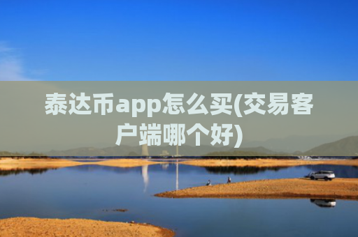 泰达币app怎么买(交易客户端哪个好)