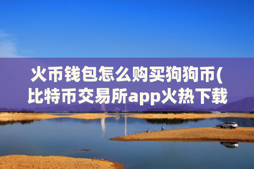 火币钱包怎么购买狗狗币(比特币交易所app火热下载中)