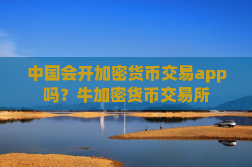 中国会开加密货币交易app吗？牛加密货币交易所