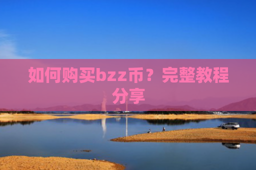 如何购买bzz币?完整教程分享
