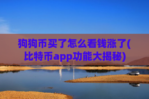狗狗币买了怎么看钱涨了(比特币app功能大揭秘)