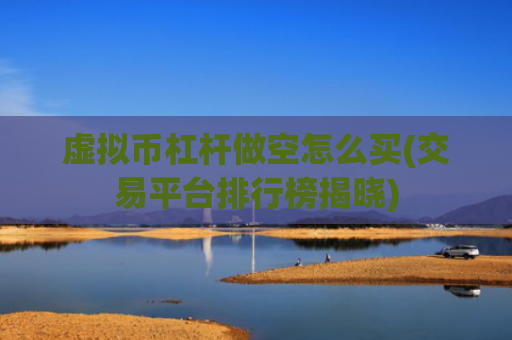 虚拟币杠杆做空怎么买(交易平台排行榜揭晓)