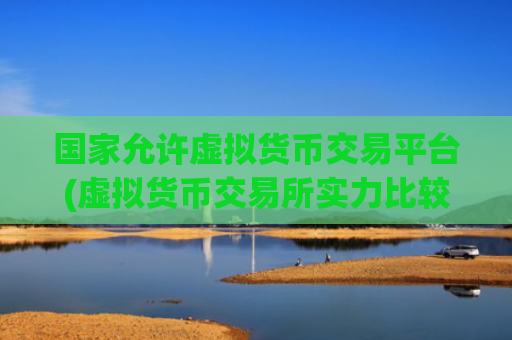 国家允许虚拟货币交易平台(虚拟货币交易所实力比较)