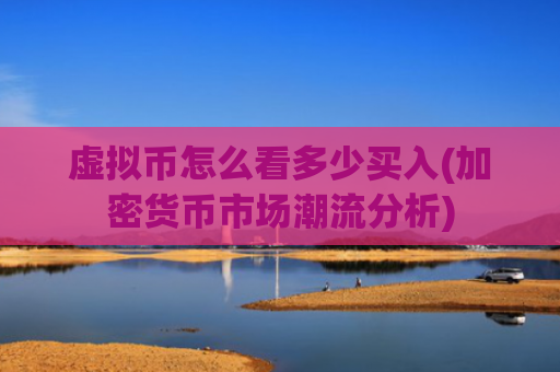 虚拟币怎么看多少买入(加密货币市场潮流分析)